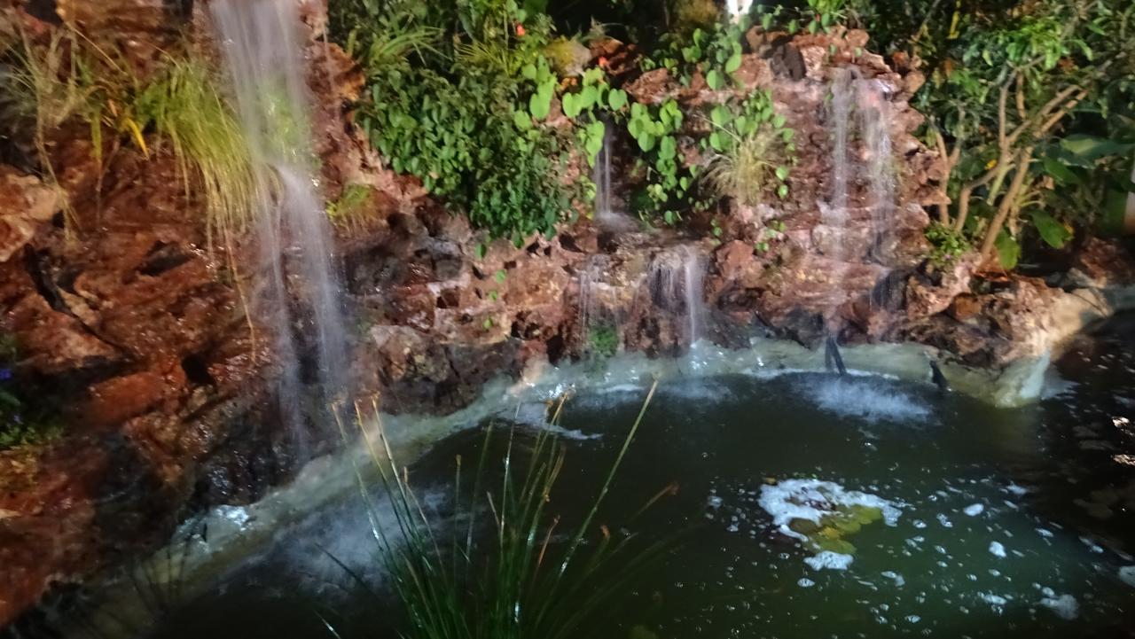 Mt Pleasant Bed And Breakfast Ltd Harare Dış mekan fotoğraf